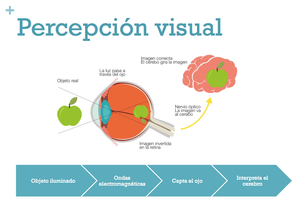 percepcion color percepcion color